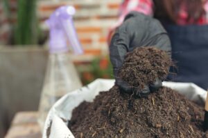 cara membuat pupuk dari daun