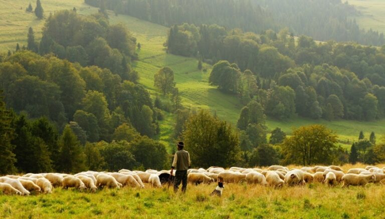 Hewan Pemakan Rumput