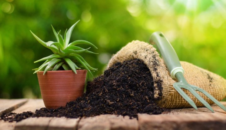 cara membuat pupuk kompos dari daun
