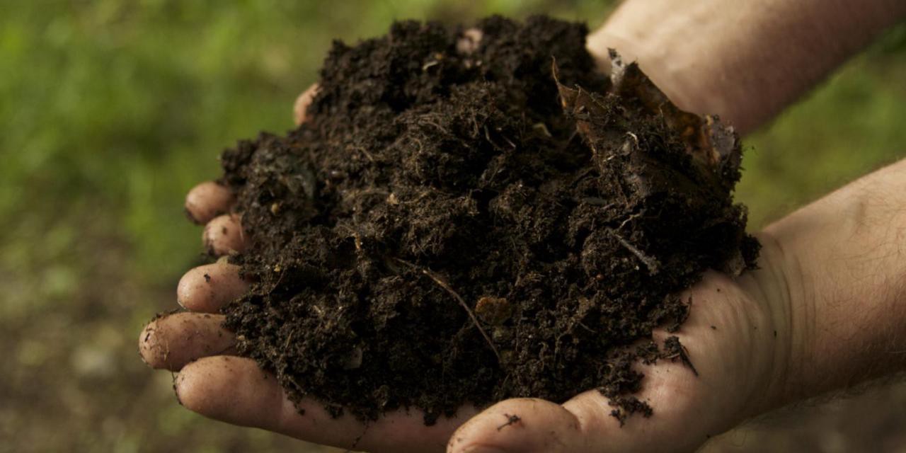 cara membuat pupuk kompos dari rumput liar