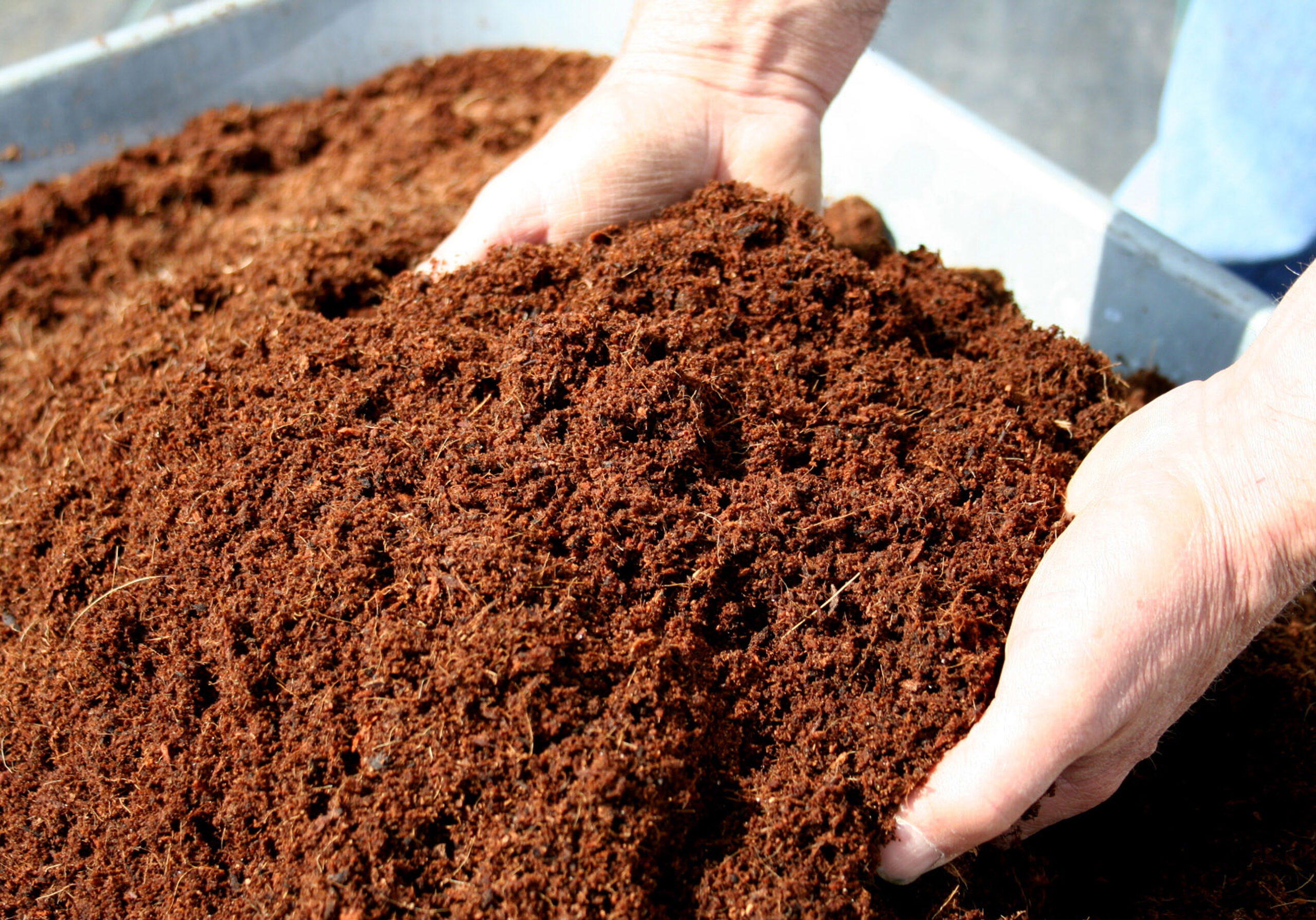 cara membuat kompos dari rumput