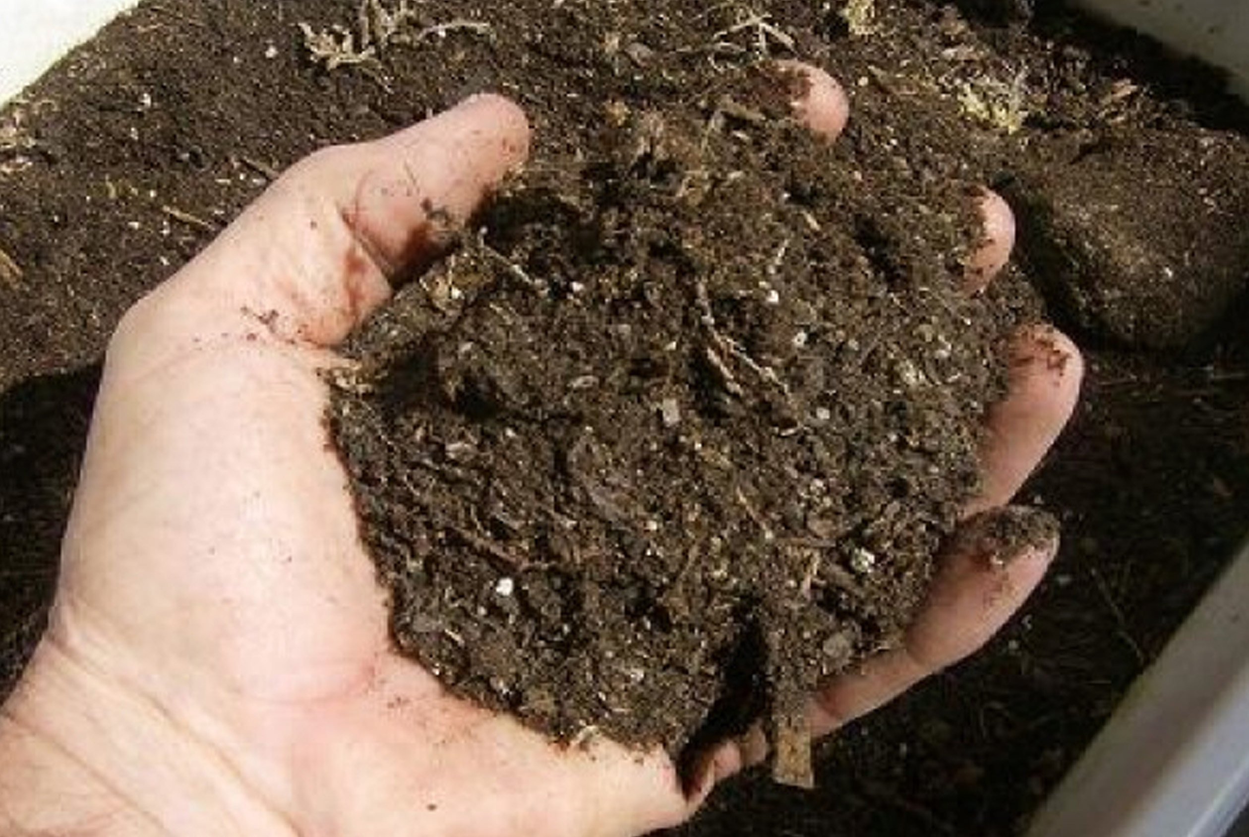 cara membuat pupuk kompos dari rumput liar