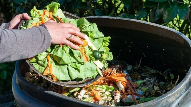 cara membuat pupuk kompos dari sampah rumah tangga