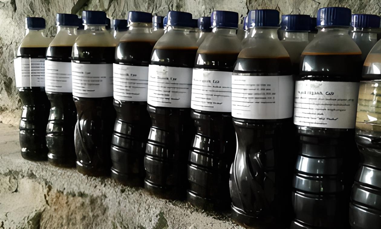cara membuat pupuk organik cair untuk cabe rawit