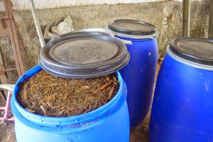 cara fermentasi jerami sistem terbuka