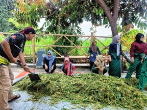 campuran fermentasi pakan kambing