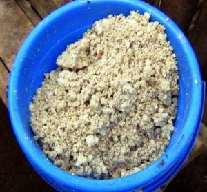 hasil fermentasi ampas kelapa